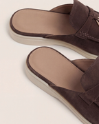 Brown Mediterranean Mule